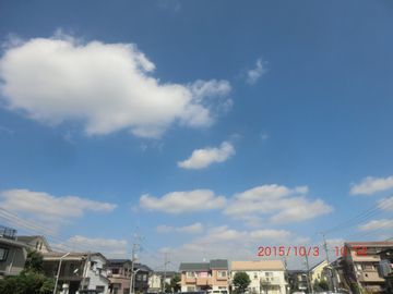 d0051601_11235765.jpg