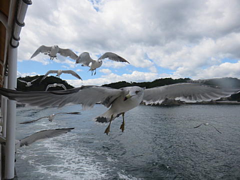 d0046702_18946.jpg