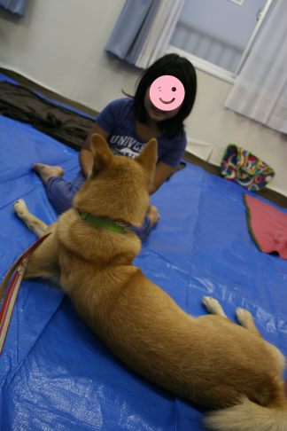 9/27 さいわい会館里親会_f0242002_13313147.jpg