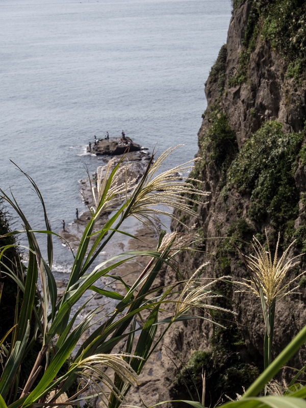 江ノ島　2015/10/04_a0114003_2251763.jpg