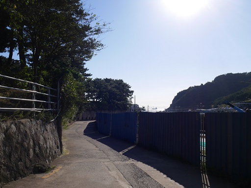 a0140305_16374260.jpg