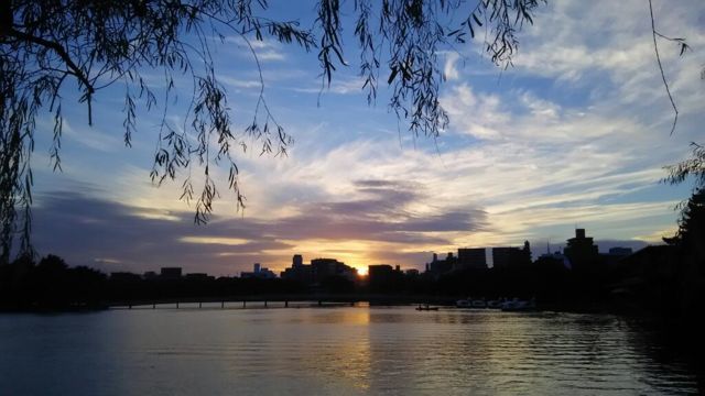夕日信仰ヒガシズム 音感夜話 夕日信仰ヒガシズム 音感夜話