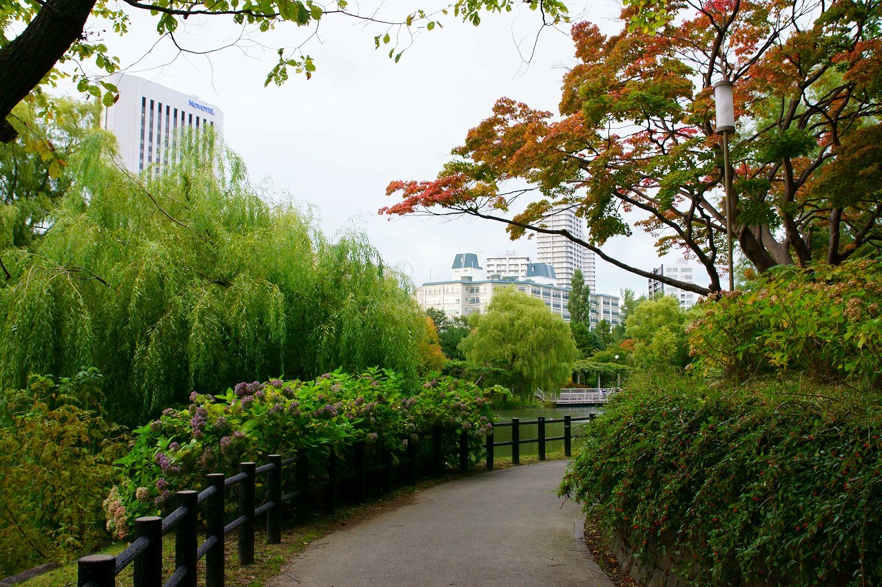 紅葉加速する中島公園～②_b0225108_22250745.jpg