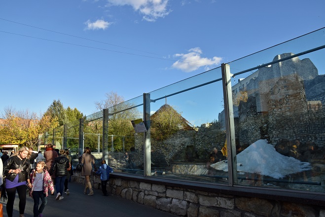 モスクワ動物園九日目、今日のアルバムより ~ 寒風晴天下のホッキョクグマたち、そして驚きの解題_a0151913_904465.jpg