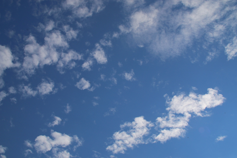 d0063314_593938.jpg