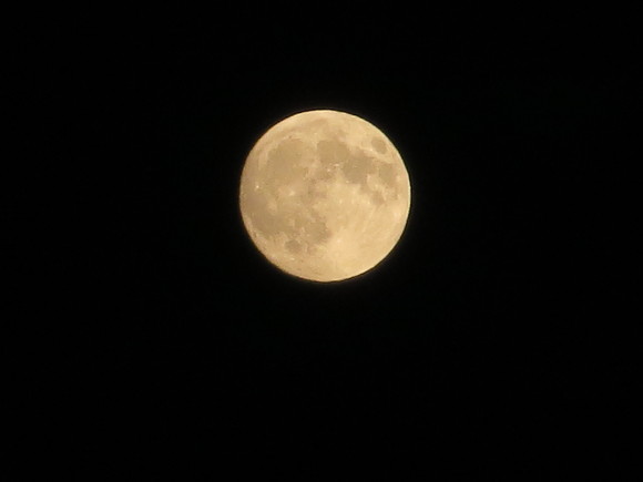 b0093515_23333440.jpg