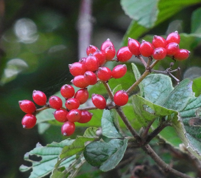 c0190915_19103466.jpg