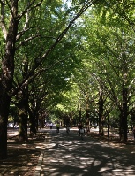 c0074219_0545443.jpg