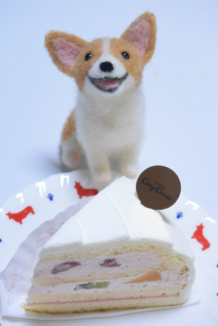 ちょっと遅れたお誕生日_d0102523_15333963.jpg