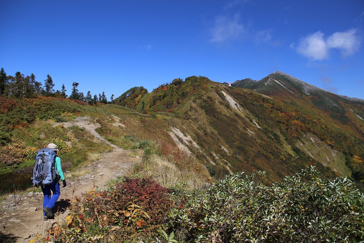 b0062024_2481777.jpg