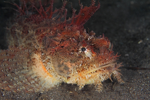 f0206424_1765277.jpg
