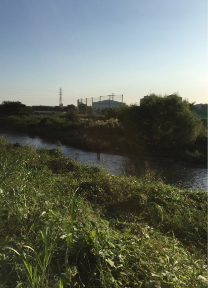 早朝ランニング (115)_b0203925_19291010.jpg