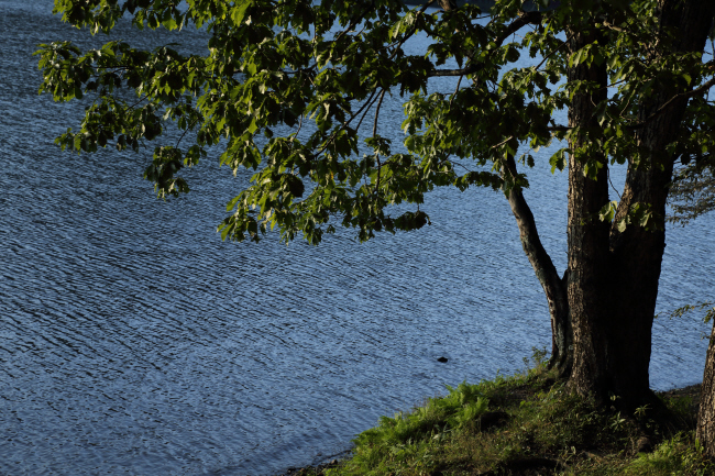 f0017530_21193217.jpg