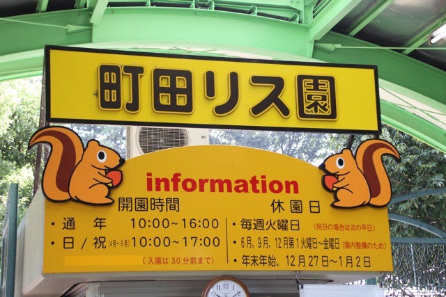 【町田リス園】モルモット/ウサギ_f0348831_17334072.jpg