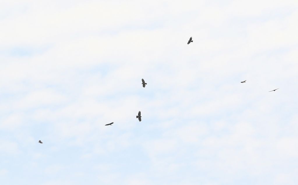 魚沼も秋_e0150433_19414031.jpg