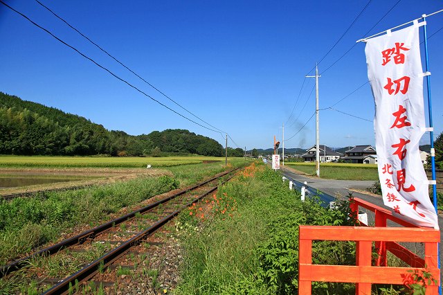 a0242438_19135447.jpg