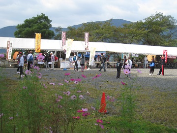 余呉駅（よご駅）から賤ヶ岳（しずがたけ）４２１ｍ_c0077338_1740312.jpg