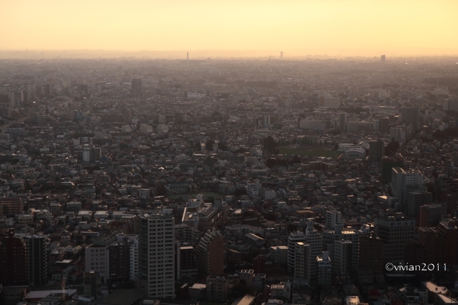 e0227942_20120217.jpg