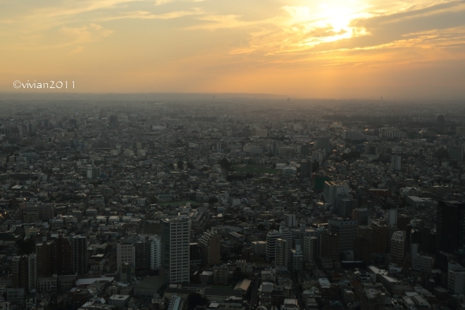 e0227942_20140637.jpg