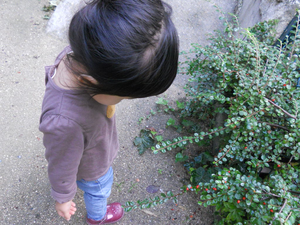 e0300042_22125979.jpg