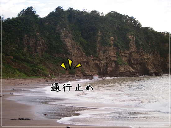 d0013149_01243.jpg