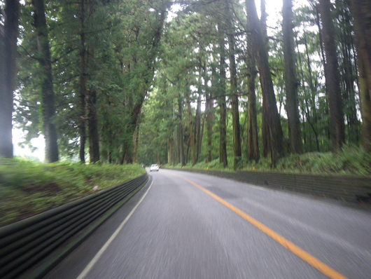 f0046250_14211892.jpg