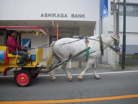 ノマキャン１５０９２６（土）～日光おじか～１泊_f0046250_14234688.jpg