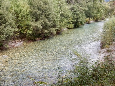 e0326953_1020516.jpg