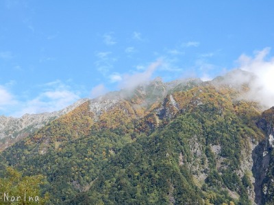 e0326953_1093256.jpg