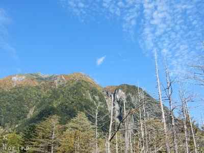 e0326953_1102663.jpg