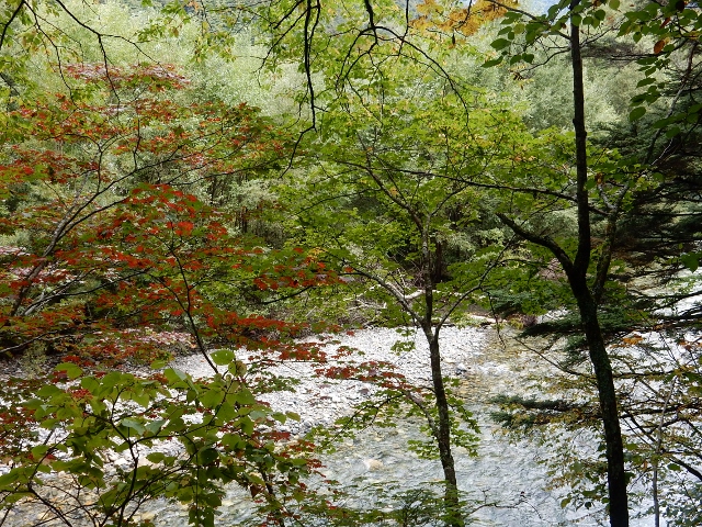 e0326953_11255155.jpg