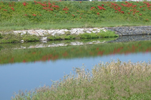 a0152454_1444562.jpg
