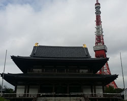 d0050155_975697.jpg