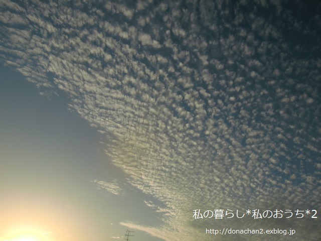 ++秋*＆秋の空*_e0354456_11123254.jpg