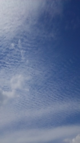 e0353657_16171025.jpg