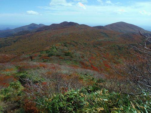 c0294658_20214381.jpg