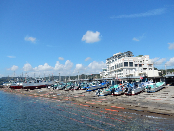 ’15,10,4(日)続:勝浦の朝市!_f0060461_10121880.jpg