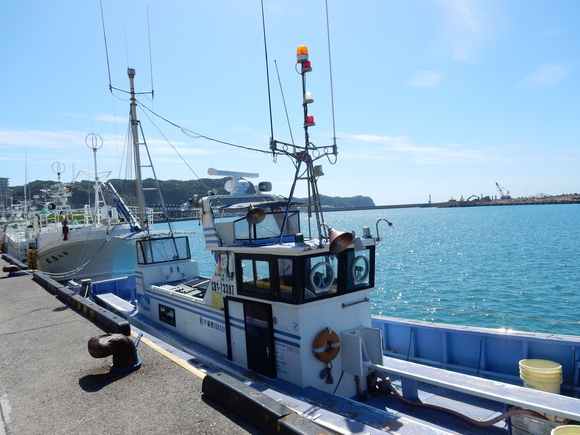 ’15,10,4(日)続:勝浦の朝市!_f0060461_1014459.jpg