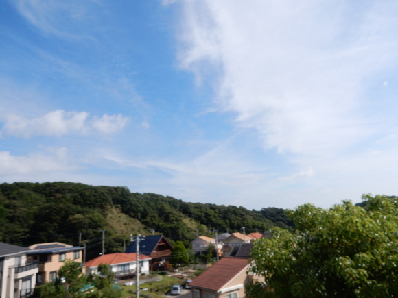 ’15,10,4(日)続:勝浦の朝市!_f0060461_935834.jpg