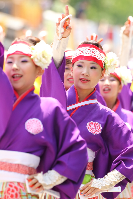 第62回よさこい祭り 本番2日目 ほにや その2_a0077663_13172916.jpg