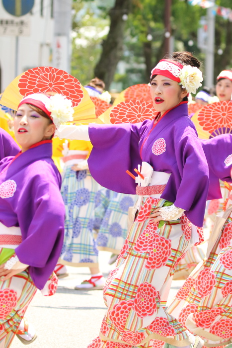 第62回よさこい祭り 本番2日目 ほにや その2_a0077663_13173393.jpg