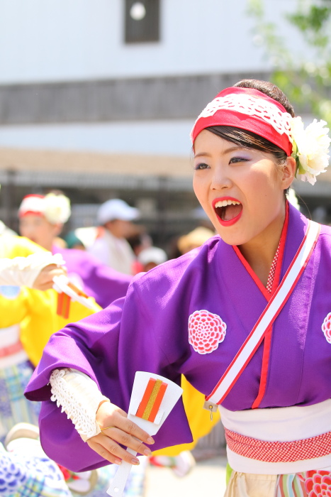第62回よさこい祭り 本番2日目 ほにや その2_a0077663_13173765.jpg