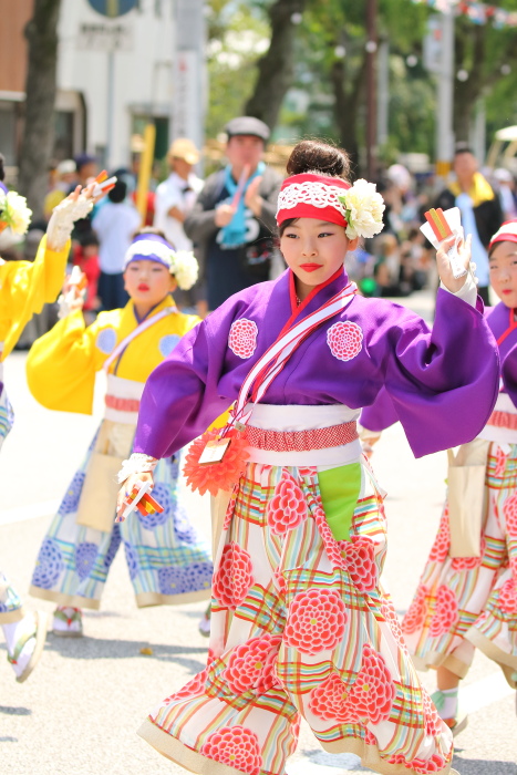 第62回よさこい祭り 本番2日目 ほにや その3_a0077663_13203535.jpg