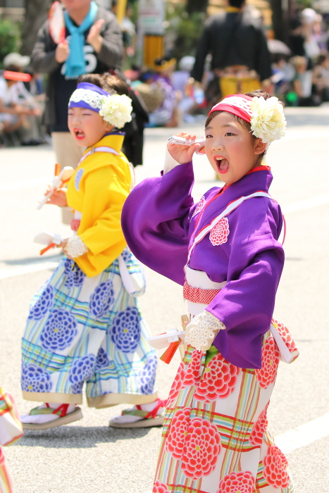 第62回よさこい祭り 本番2日目 ほにや その3_a0077663_13203827.jpg