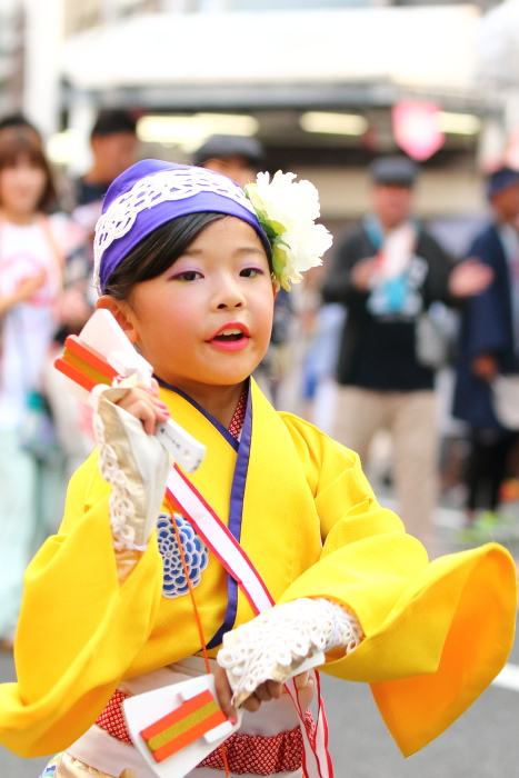 第62回よさこい祭り 本番1日目 ほにや その2_a0077663_8234018.jpg