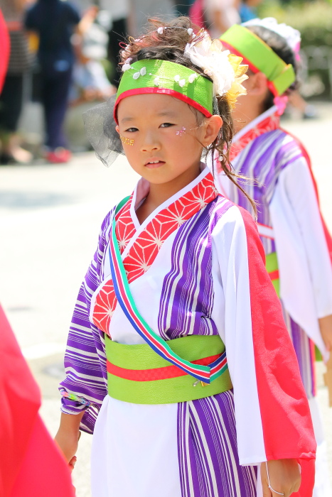 第62回よさこい祭り 本番2日目 陣 その4_a0077663_9325720.jpg
