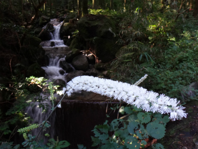 雷山、井原山周回コース（糸島市）_d0182075_246494.jpg