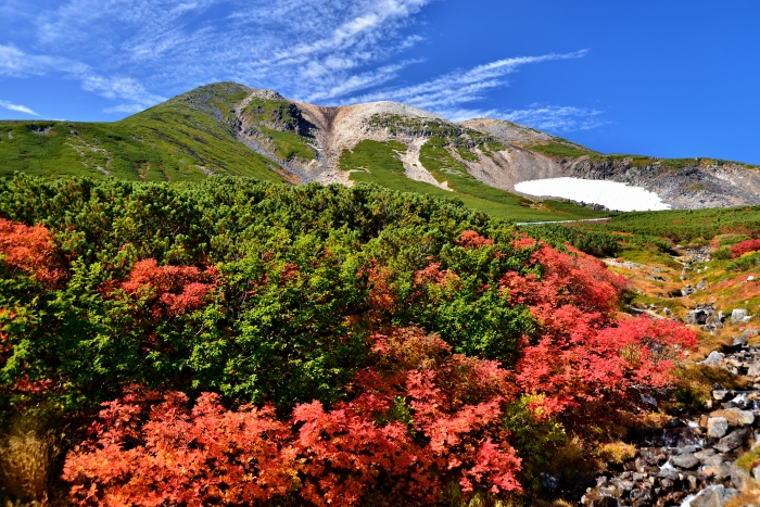 乗鞍スカイラインの紅葉・・・1_d0341880_178489.jpg