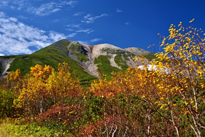d0341880_1791621.jpg