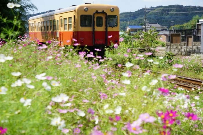d0341483_08554500.jpg